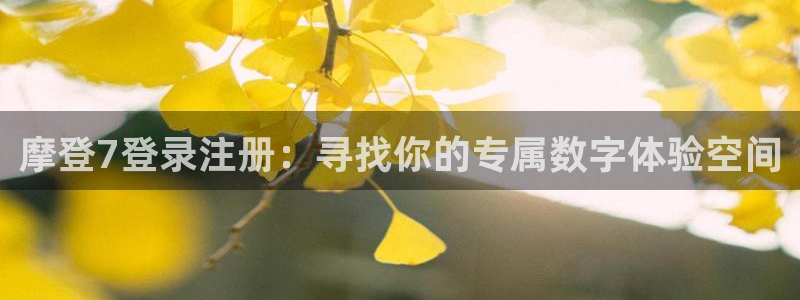 先锋娱乐app官网下载苹果