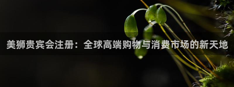 壹号app下载链接