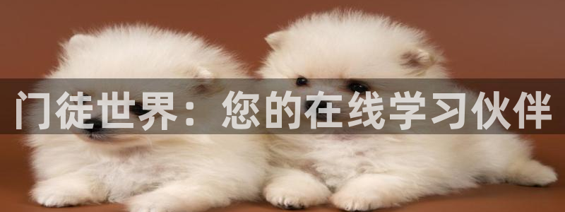 壹号平台下载