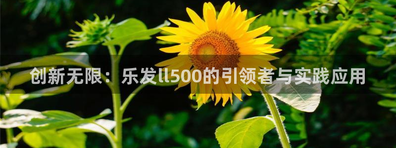 先锋娱乐app入口