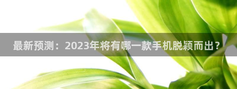 先锋娱乐app下载安装最新版