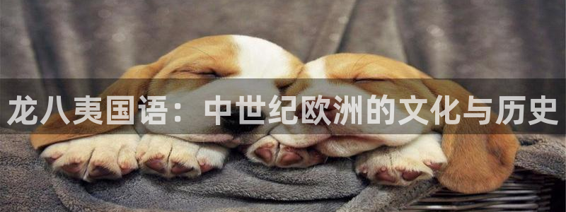 壹号平台下载安装官网