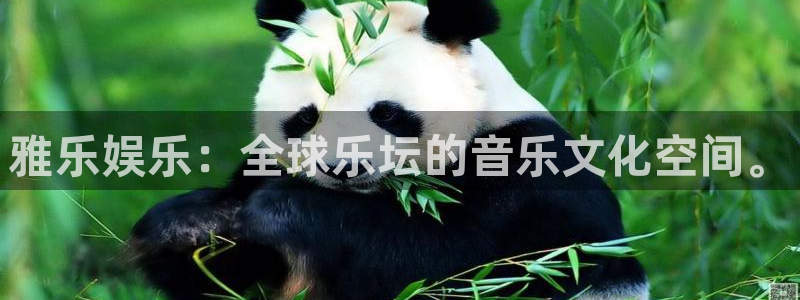 壹号大舞台娱乐app下载安装