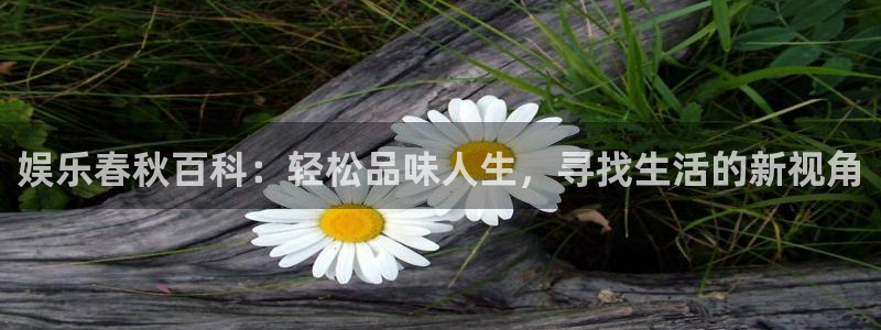 壹号app下载官网娱乐