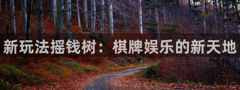 壹号下载官网入口