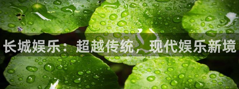 先锋娱乐网址