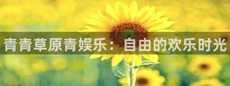 先锋娱乐,apk