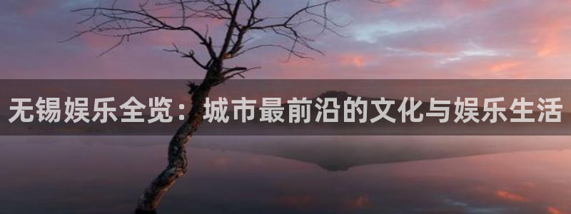 先锋娱乐下载