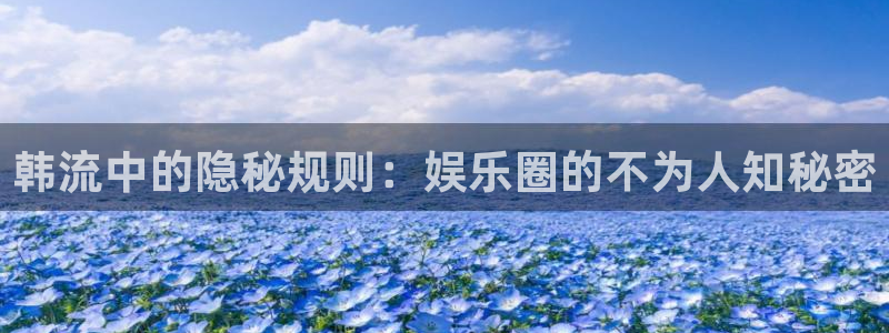 壹号平台下载安装官网