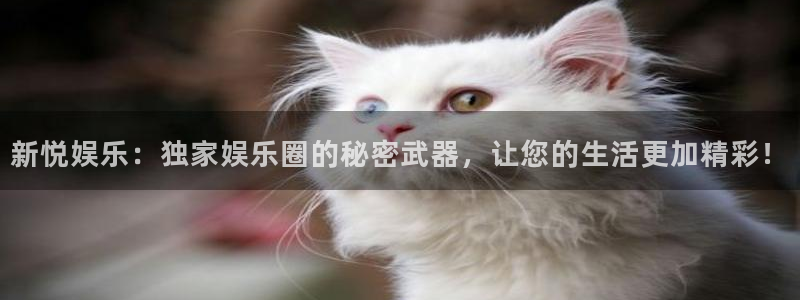 先锋娱乐app