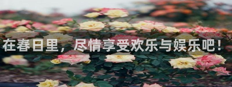 先锋娱乐官方app下载安装