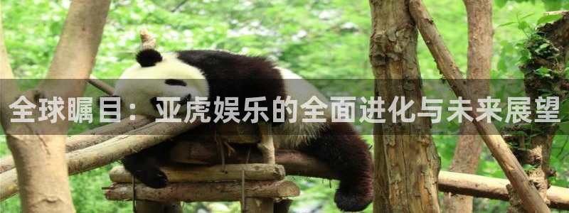 先锋娱乐.com