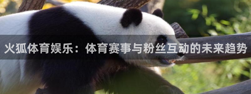 壹号app下载链接