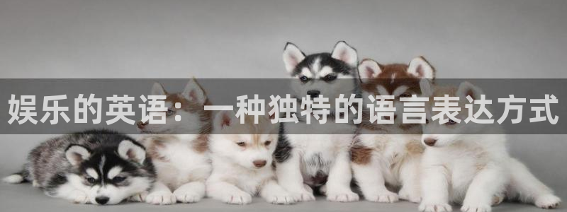 壹号平台下载