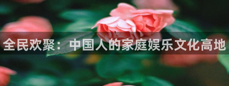 壹号大舞台28国际大舞台