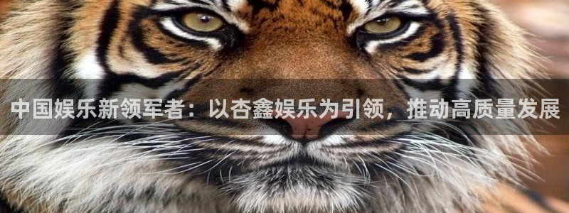 壹号电子娱乐app下载