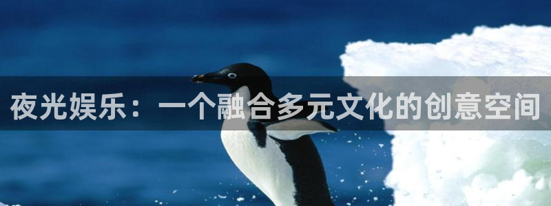 壹号平台下载安装