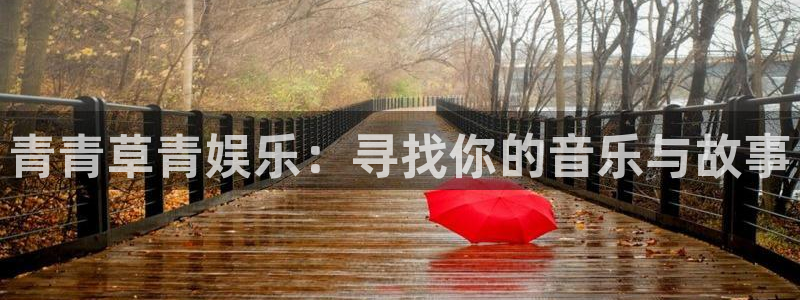 壹号下载官网入口