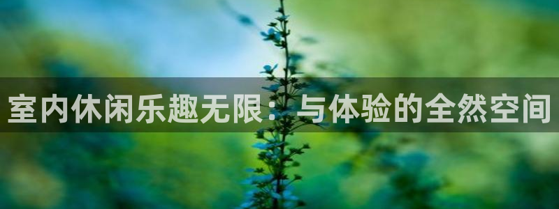壹号大舞台网站