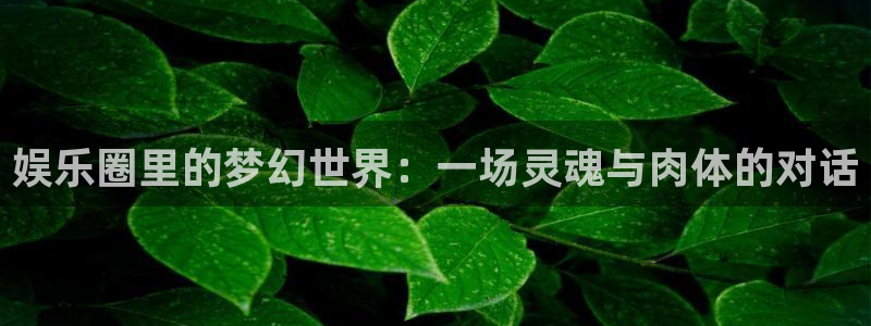 先锋娱乐强制退款流程详解：娱乐圈里的梦幻世界：一场灵魂与肉体的对话
