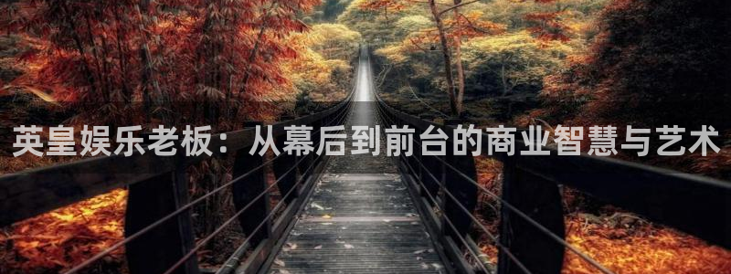 壹号电子娱乐app下载安装：英皇娱乐老板：从幕后到前台的商业智慧与艺术