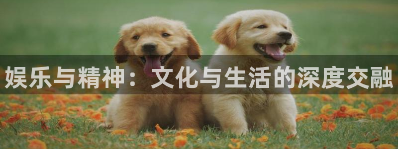 下载先锋娱乐app：娱乐与精神：文化与生活的深度交融