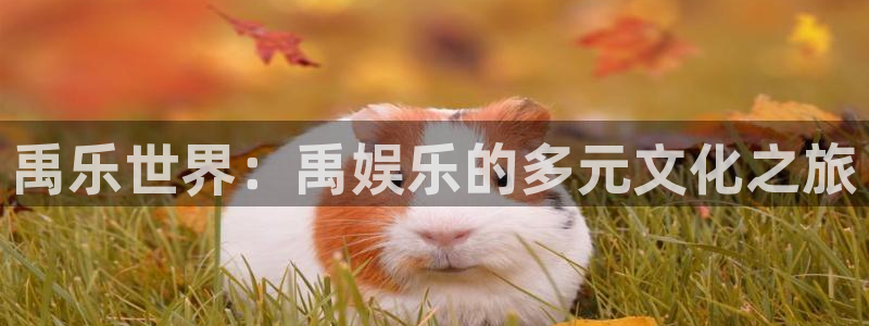 壹号app下载苹果：禹乐世界：禹娱乐的多元文化之旅