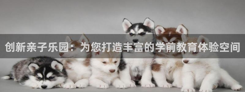 先锋娱乐app下载安装最新版：创新亲子乐园：为您打造丰富的学前教育体验空间
