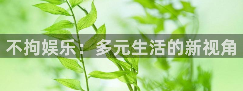 先锋娱乐app下载地址：不拘娱乐：多元生活的新视角