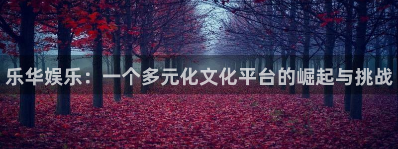 先锋娱乐吧：乐华娱乐：一个多元化文化平台的崛起与挑战