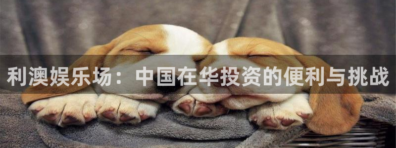 先锋娱乐科技赋能,让平台更有趣：利澳娱乐场：中国在华投资的便利与挑战