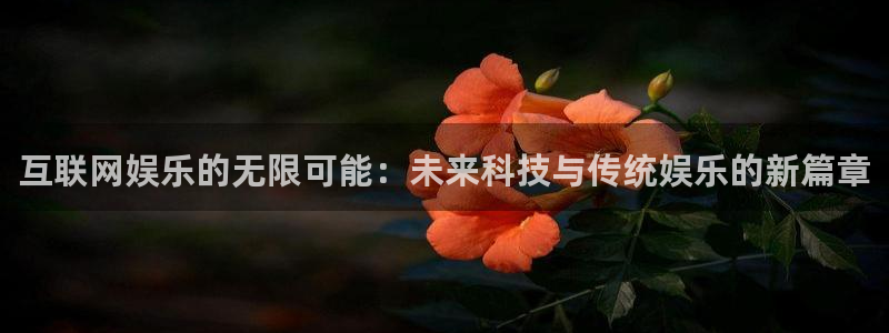 壹号国际app免费下载安装：互联网娱乐的无限可能：未来科技与传统娱乐的新篇章